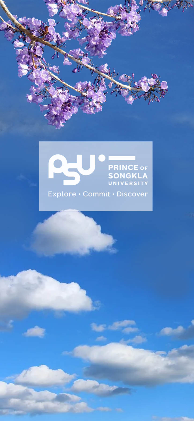 PSU Picture 