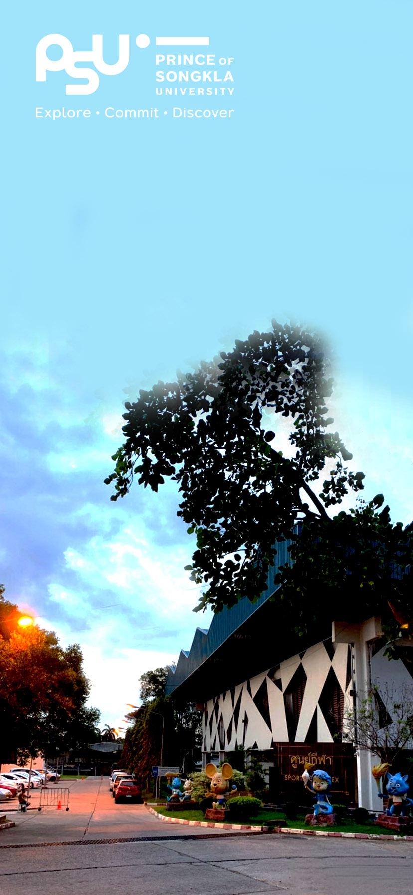 PSU Picture 